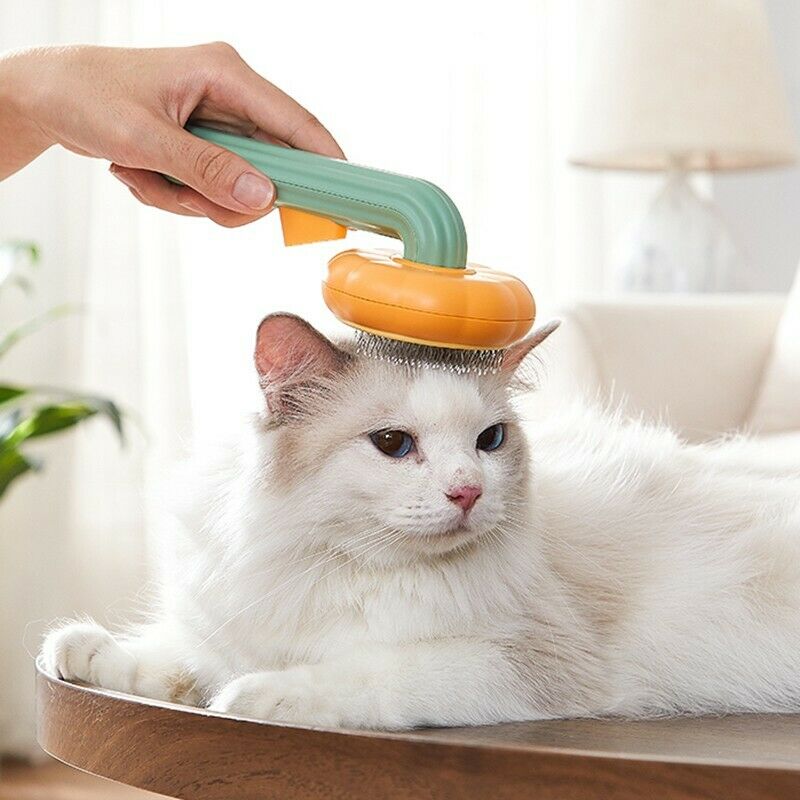 Pet Pumpkin Brush, Pet Grooming Self Cleaning Slicker Brush For Dog