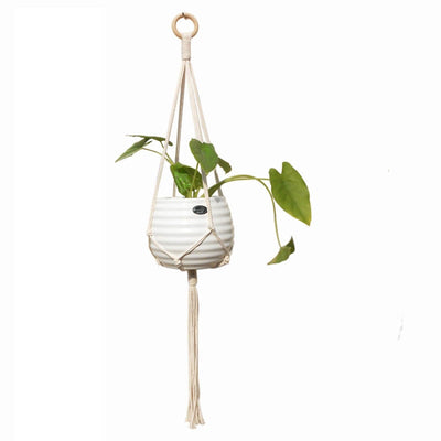 Plant hanger pot hanging for home garden macrame plant hanger for bacony pot hanging indoor Handmade - Statnmore-7861
